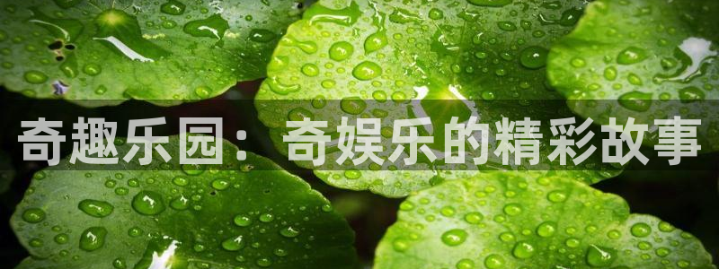 奇亿娱乐