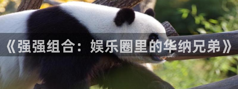 奇亿娱乐登录