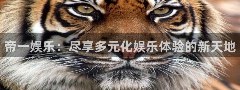 奇亿娱乐注册